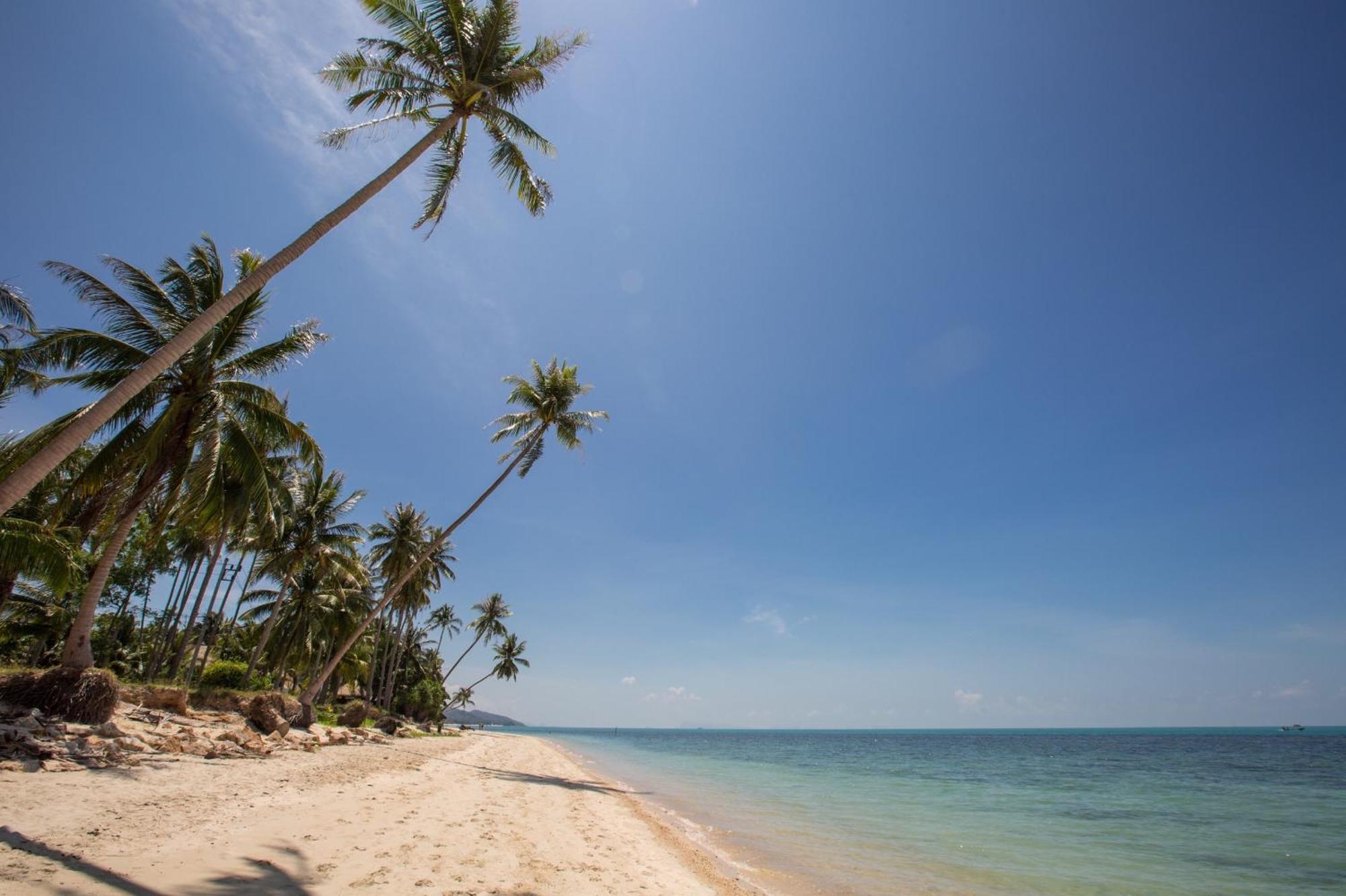 Sea&Sky Beach Resort Mae Nam Beach Eksteriør bilde